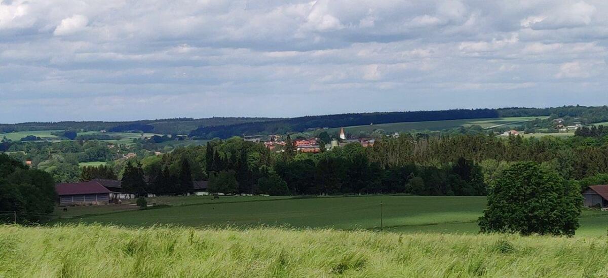 IMG 20220526 134509